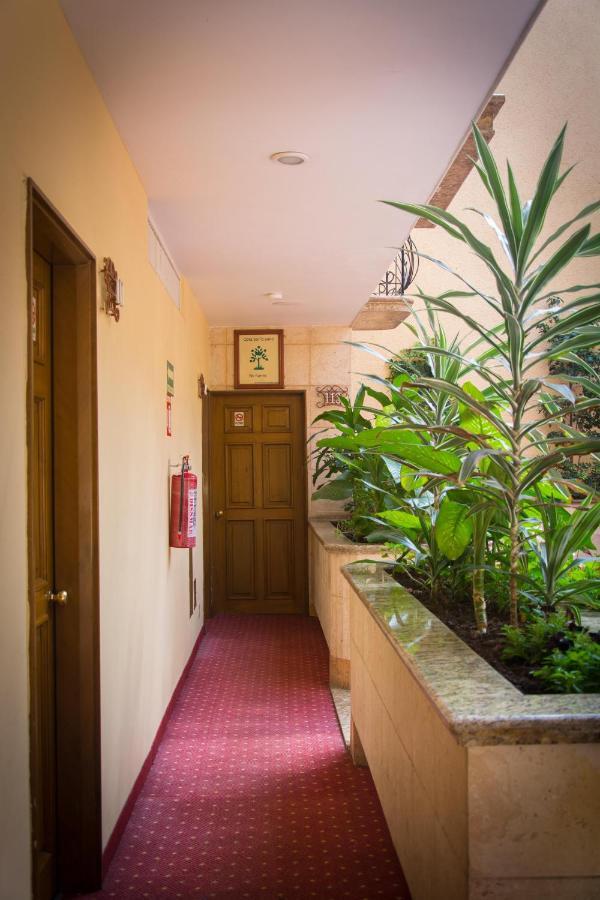 Hotel Santa Maria مدينة مكسيكو المظهر الخارجي الصورة